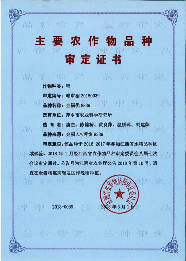 金福优8339审定证书.jpg