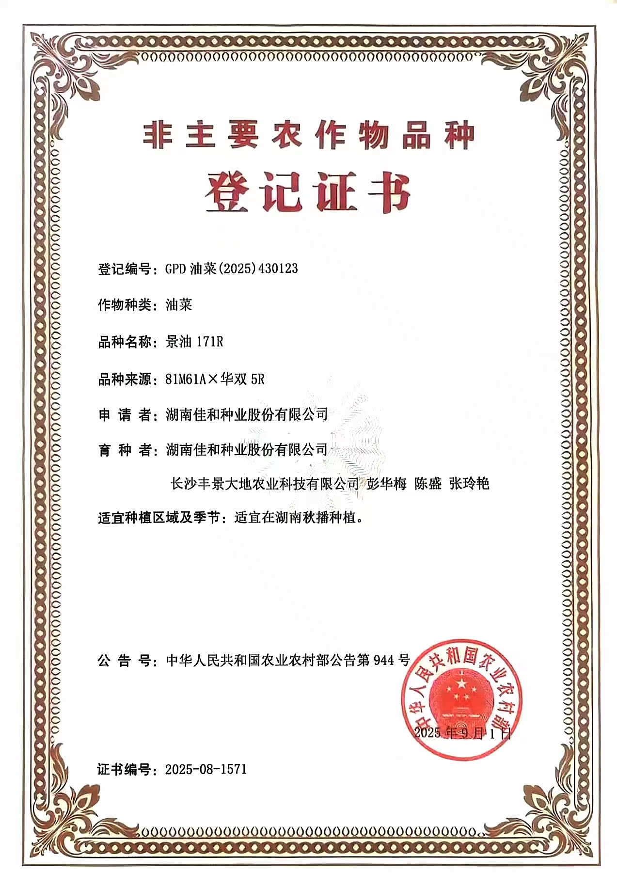 景油171R(2025.9.1).jpg 景油171R(2025.9.1).jpg